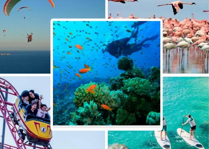 Apartamento Darisol Santa Pola